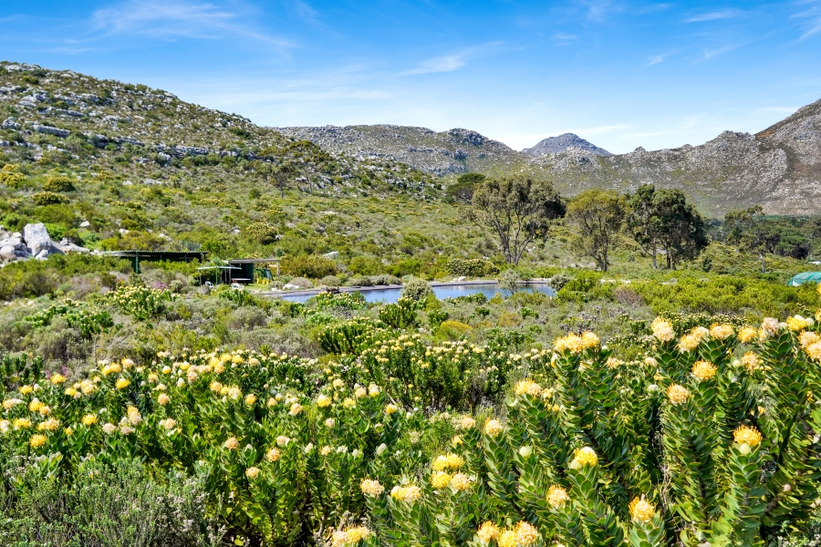 3 Bedroom Property for Sale in Scarborough Western Cape